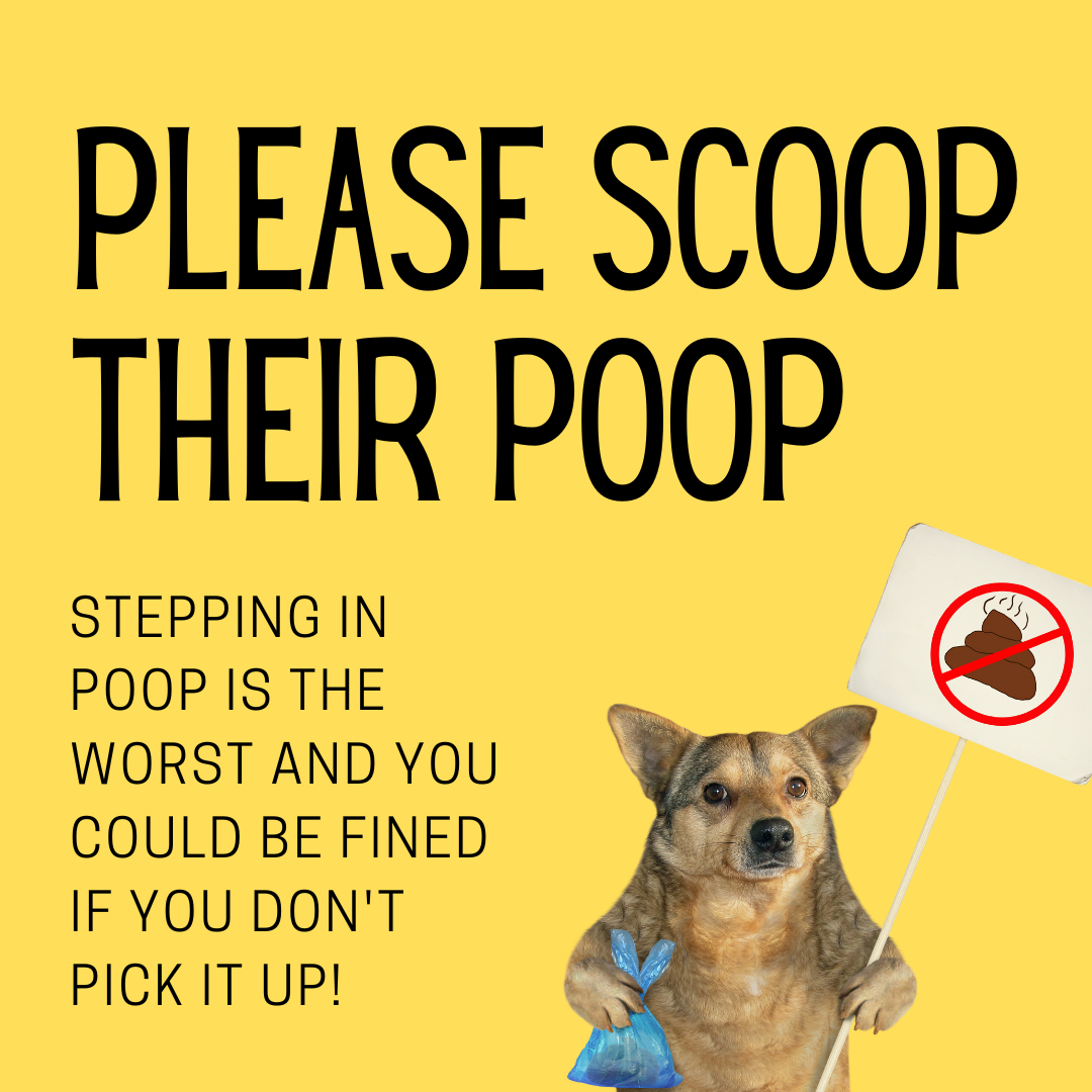 Dog holding poop bag and scopper